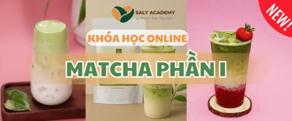Khóa Học Matcha (Phần 1)