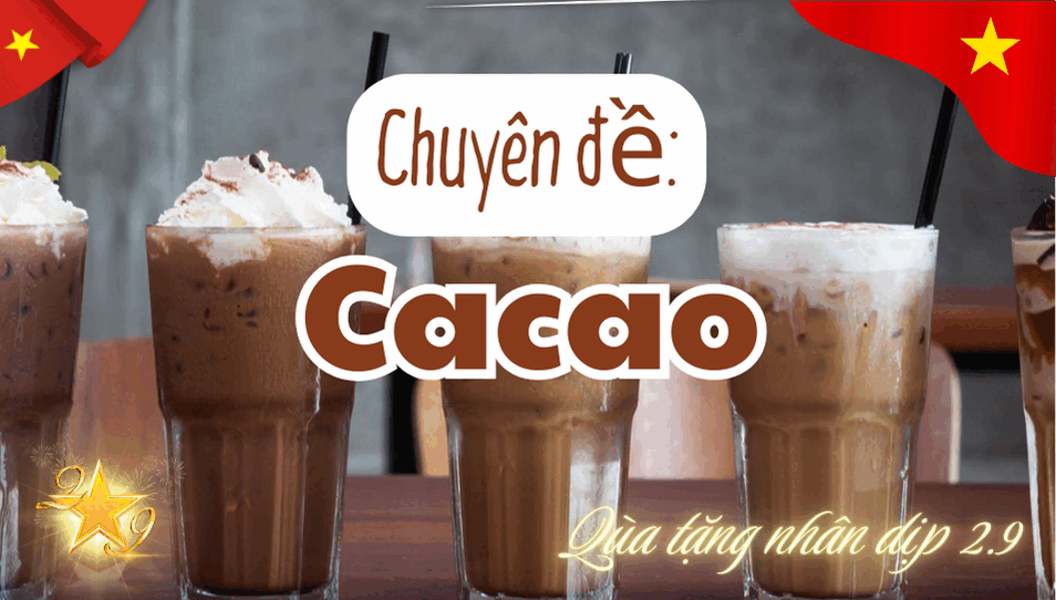 Bộ Video Công thức Cacao [Update 2026]